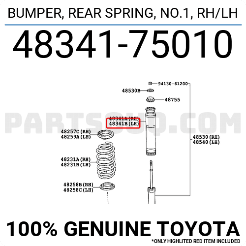 Rear Gas Struts Shock Absorbers Fit for 2005 2006 2007 2008 2009 2010 2011 Chrysler 300 2006 2007 2008 2009 2010 Dodge Charger,2005 2006 2007 2008 Dodge Maqnum 349065 5797 Set of 2 SCITOO Shocks