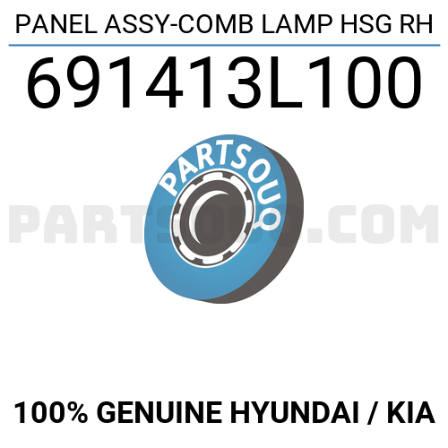 PANEL ASSY-COMB LAMP HSG RH 691413L100 | Hyundai / KIA Parts