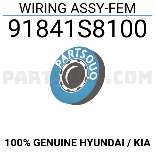 WIRING ASSY-FEM 91841S8100 | Hyundai / KIA Parts | PartSouq