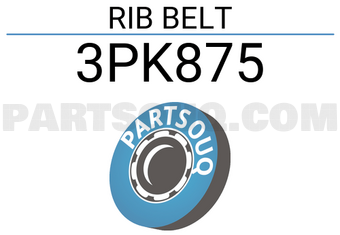 AQUIL STAR 3PK875 RIB BELT