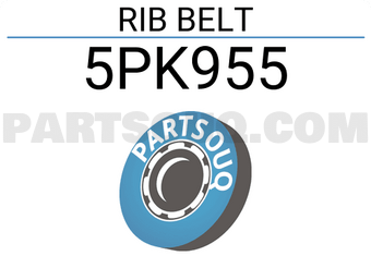 AQUIL STAR 5PK955 RIB BELT