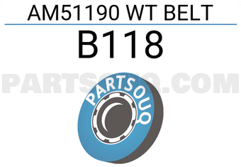 AQUIL STAR B118 AM51190 WT BELT