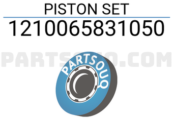 ARCO 1210065831050 PISTON SET