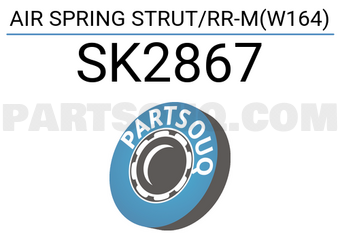 ARNOTT SK2867 AIR SPRING STRUT/RR-M(W164)