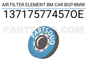 BMW 13717577457OE AIR FILTER ELEMENT BM CAR BGP-BMW