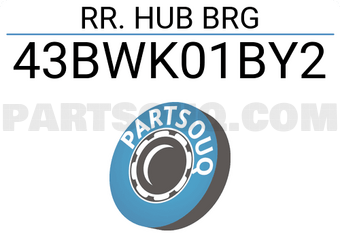 BW 43BWK01BY2 RR. HUB BRG