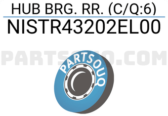 BW NISTR43202EL00 HUB BRG. RR. (C/Q:6)