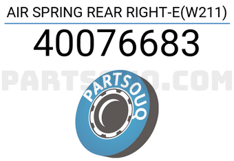 Bilstein 40076683 AIR SPRING REAR RIGHT-E(W211)