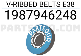 Bosch 1987946248 CORREAS POLI-V E38