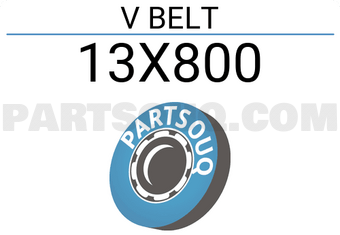 Contitech 13X800 V BELT