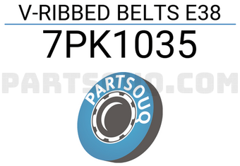Contitech 7PK1035 V-RIBBED BELTS E38