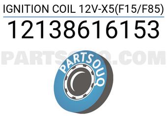 DELPHI 12138616153 IGNITION COIL 12V-X5(F15/F85)