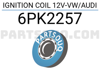 DELPHI 6PK2257 IGNITION COIL 12V-VW/AUDI
