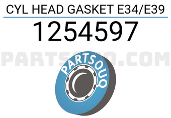 DPH 1254597 CYL HEAD GASKET E34/E39