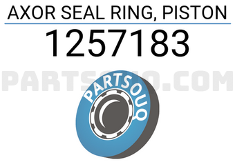 DPH 1257183 AXOR SEAL RING, PISTON