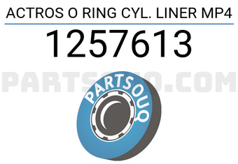 DPH 1257613 ACTROS O RING CYL. LINER MP4