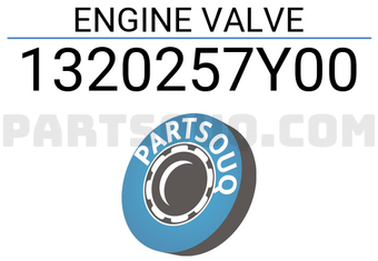 Dokuro 1320257Y00 ENGINE VALVE