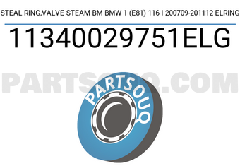 Elring 11340029751ELG STEAL RING,VALVE STEAM BM BMW 1 (E81) 116 I 200709-201112 ELRING