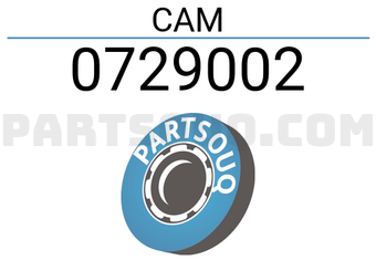 FEBEST 0729002 CAM