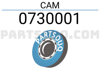 FEBEST 0730001 CAM