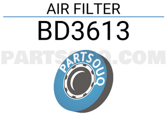FILTRON BD3613 AIR FILTER