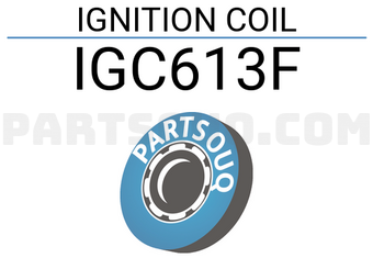 FLAMMA IGC613F IGNITION COIL