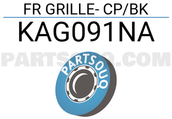 FPI KAG091NA FR GRILLE- CP/BK
