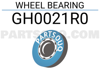 GMB GH0021R0 WHEEL BEARING