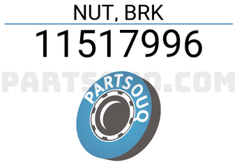 General Motors 11517996 NUT, BRK