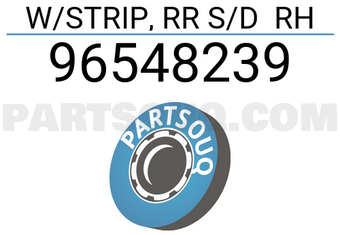 General Motors 96548239 W/STRIP, RR S/D RH