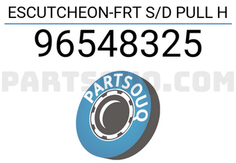 General Motors 96548325 ESCUTCHEON-FRT S/D PULL H