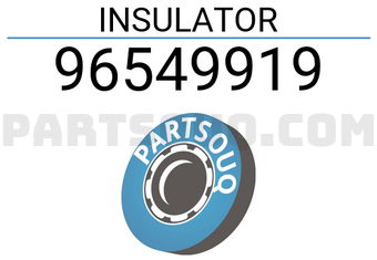 General Motors 96549919 INSULATOR