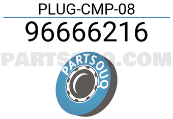 General Motors 96666216 PLUG-CMP-08
