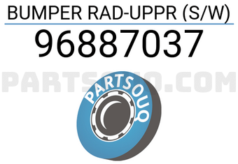 General Motors 96887037 BUMPER RAD-UPPR (S/W)