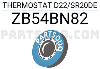 HKT ZB54BN82 THERMOSTAT D22/SR20DE