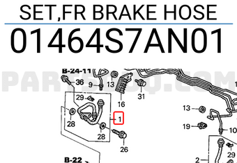 Honda 01464S7AN01 SET,FR BRAKE HOSE