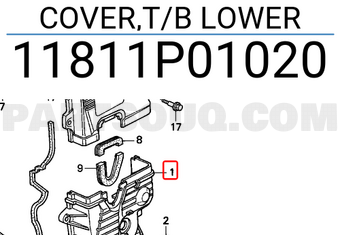 Honda 11811P01020 COVER,T/B LOWER