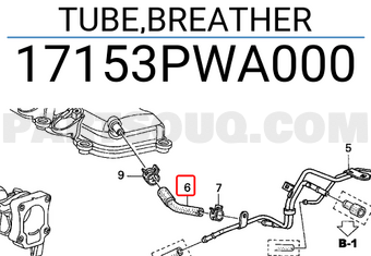 Honda 17153PWA000 TUBE,BREATHER