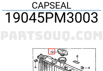 Honda 19045PM3003 CAPSEAL