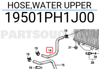 Honda 19501PH1J00 HOSE,WATER UPPER