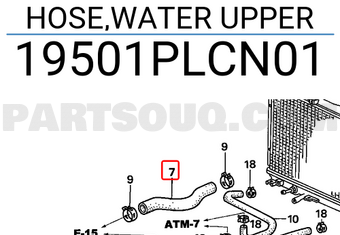 Honda 19501PLCN01 HOSE,WATER UPPER