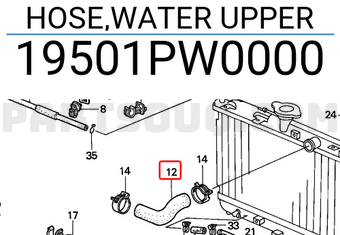 Honda 19501PW0000 HOSE,WATER UPPER
