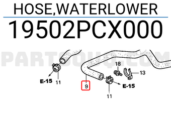 Honda 19502PCX000 HOSE,WATERLOWER