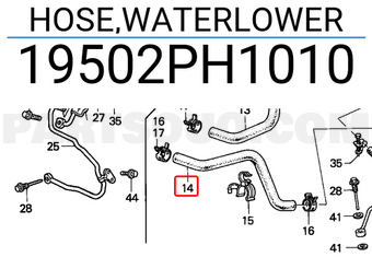 Honda 19502PH1010 HOSE,WATERLOWER