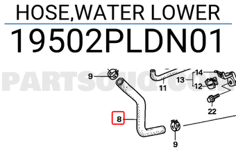 Honda 19502PLDN01 HOSE,WATER LOWER