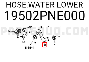 Honda 19502PNE000 HOSE,WATER LOWER
