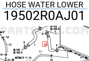 Honda 19502R0AJ01 HOSE WATER LOWER