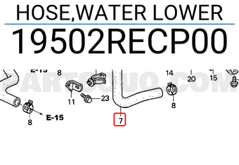 Honda 19502RECP00 HOSE,WATER LOWER