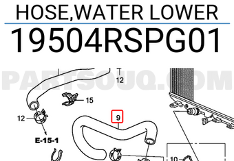 Honda 19504RSPG01 HOSE,WATER LOWER