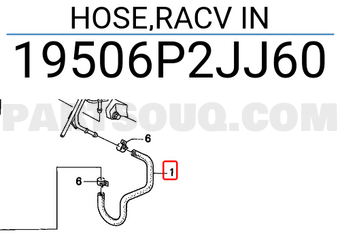 Honda 19506P2JJ60 HOSE,RACV IN